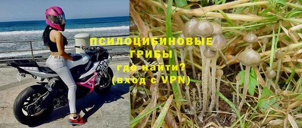 дживик Армянск