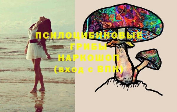 дживик Армянск