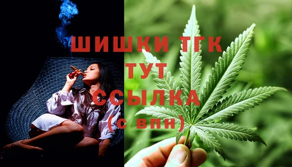 дживик Армянск