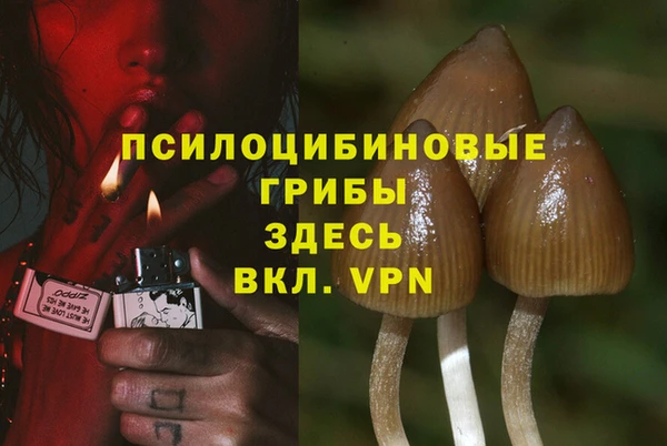 дживик Армянск